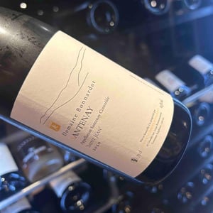 Santenay « Saint-Jean » - Domaine Bonnardot - antoine-ludovic-emilien-bonnardot -2019