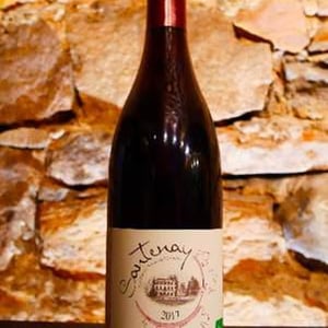 Santenay Village - Domaine Chapelle & Fils - jean-francois-et-yvette-chapelle -2017