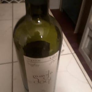 Saperavi Kahketi - Dakishvili Family Vineyard - dakishvili