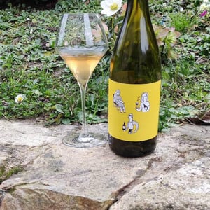 SARAU Blanc - Celler RIM - Jordi Esteve 