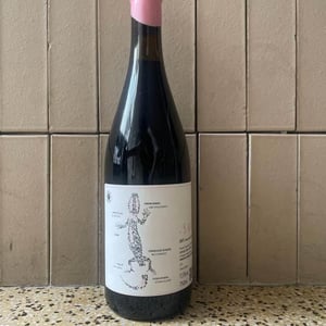 Saroto Nat Cool - Arribas Wine Company - Ricardo Alves & Frederico Machado -2019