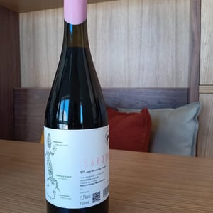 Saroto Tinto - Arribas Wine Company - ricardo-alves-frederico-machado -2022