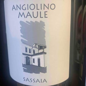 Azienda Agricola La Biancara - Angiolino Maule - Sassaia