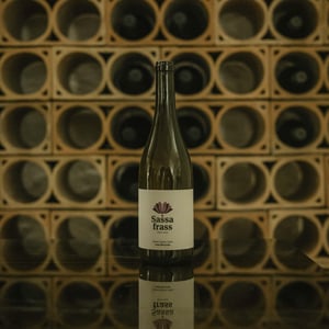 Sassafrass - Casa Brecceto - casa-brecceto -2021