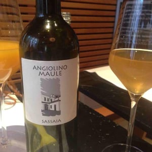 Azienda Agricola La Biancara - Angiolino Maule - Sassaia