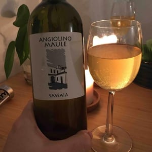 Azienda Agricola La Biancara - Angiolino Maule - Sassaia