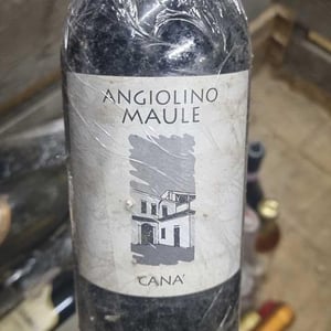 Azienda Agricola La Biancara - Angiolino Maule - Sassaia