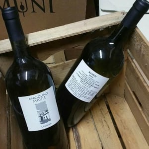 Azienda Agricola La Biancara - Angiolino Maule - Sassaia