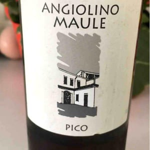 Azienda Agricola La Biancara - Angiolino Maule - Sassaia