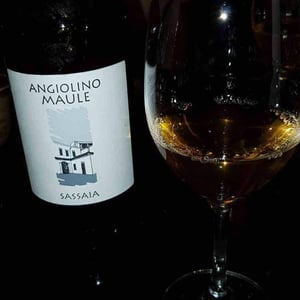 Sassaia - Azienda Agricola La Biancara - angiolino-maule
