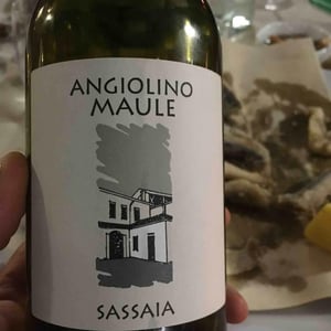 Azienda Agricola La Biancara - Angiolino Maule - Sassaia