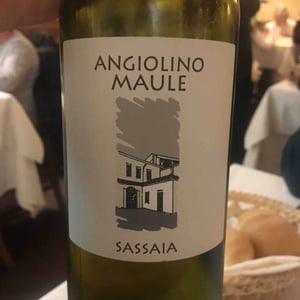 Azienda Agricola La Biancara - Angiolino Maule - Sassaia