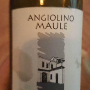 Azienda Agricola La Biancara - Angiolino Maule - Sassaia