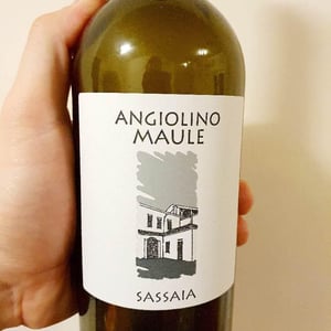 Azienda Agricola La Biancara - Angiolino Maule - Sassaia
