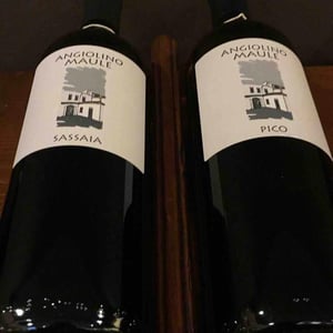 Azienda Agricola La Biancara - Angiolino Maule - Sassaia