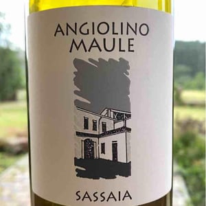 Azienda Agricola La Biancara - Angiolino Maule - Sassaia