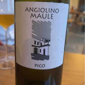 Azienda Agricola La Biancara - Angiolino Maule - Sassaia