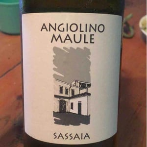 Azienda Agricola La Biancara - Angiolino Maule - Sassaia