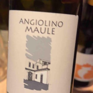 Azienda Agricola La Biancara - Angiolino Maule - Sassaia