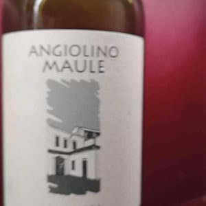 Azienda Agricola La Biancara - Angiolino Maule - Sassaia