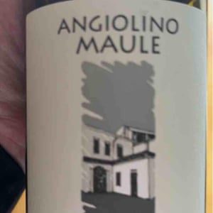 Azienda Agricola La Biancara - Angiolino Maule - Sassaia