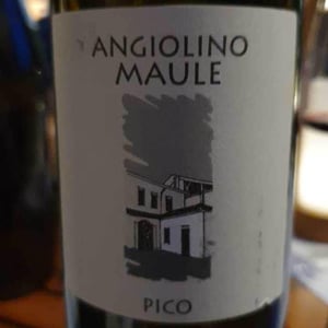 Azienda Agricola La Biancara - Angiolino Maule - Sassaia