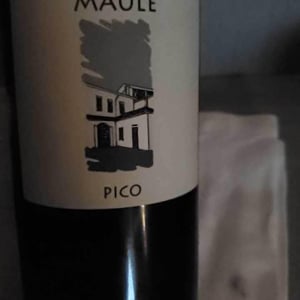 Sassaia - Azienda Agricola La Biancara - angiolino-maule