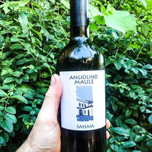 Sassaia - Azienda Agricola La Biancara - angiolino-maule