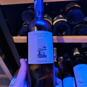 Sassaia - Azienda Agricola La Biancara - angiolino-maule