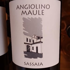 Sassaia - Azienda Agricola La Biancara - Angiolino Maule 