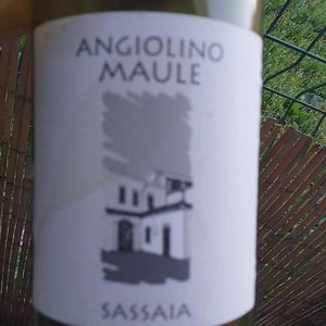 Azienda Agricola La Biancara - Angiolino Maule - Sassaia