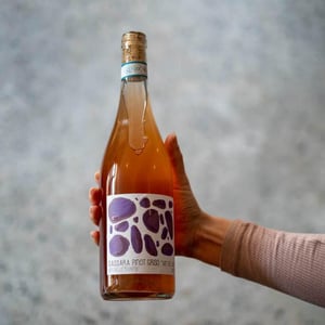 Pinot Griso - Vini Sassara - alessia-stefano-bertaiola -2020