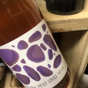 Pinot Griso - Vini Sassara - alessia-stefano-bertaiola -2020