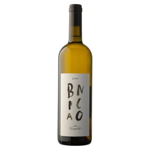 Bianco - Cantina Sassopra - marta-federico-des-dorides -2021