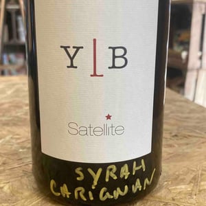 Satellite - Domaine YLB - Yann Le Bouler -2021