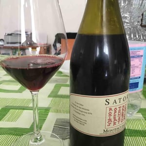 Sator Rosso - Montescudaio - Sator / Sileno Wines - gianni-moscardini