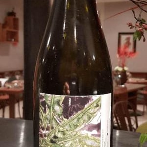 Sau Les Tropiques - Les Vins Du Fab - Fabien Henriot 