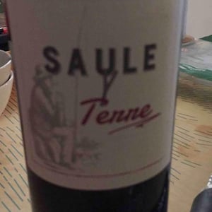 Saule Y Terre - Domaine Les 3 Saules - francois-laborie