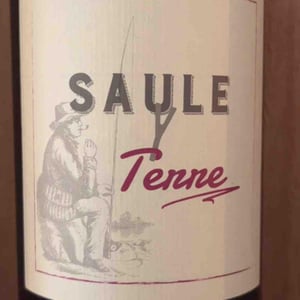Saule Y Terre - Domaine Les 3 Saules - francois-laborie