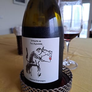 Saumur Champigny - Domaine De La Paleine - jean-louis-bernet-ex-laurence-et-marc-vincent -2020