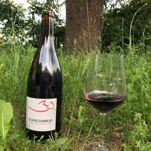 Saumur Champigny - Bruno Dubois - bruno-dubois