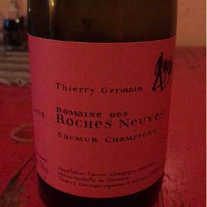 Domaine des Roches Neuves - Thierry et Louis Germain - Saumur Champigny