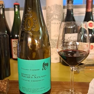 Domaine des Roches Neuves - Thierry et Louis Germain - Saumur Champigny