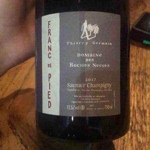 Domaine des Roches Neuves - Thierry et Louis Germain - Saumur Champigny