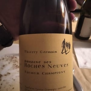Domaine des Roches Neuves - Thierry et Louis Germain - Saumur Champigny