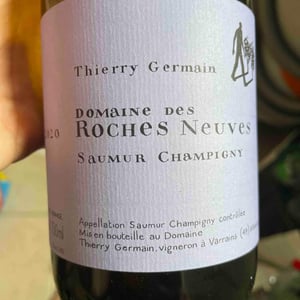 Domaine des Roches Neuves - Thierry et Louis Germain - Saumur Champigny