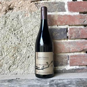 Saumur Champigny - Domaine Chancelle - thierry-lydie-chancelle