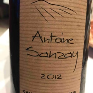 Saumur Champigny - Antoine Sanzay - Antoine Sanzay 