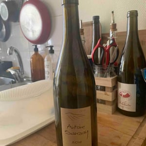 Saumur Champigny - Antoine Sanzay - antoine-sanzay