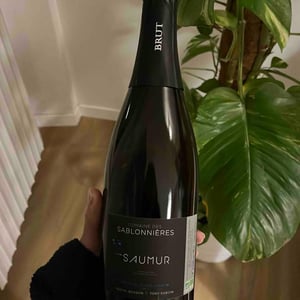 Saumur - Domaines Des Sablonnieres - pascal-busson-tony-raboin